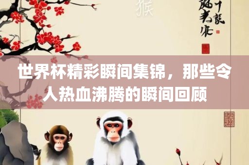 世界杯精彩瞬间集锦，那些令人热血沸腾的瞬间回顾
