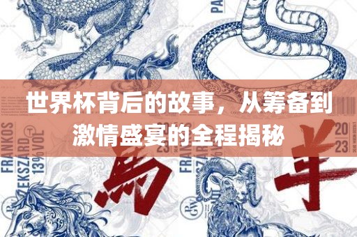 世界杯背后的故事，从筹备到激情盛宴的全程揭秘