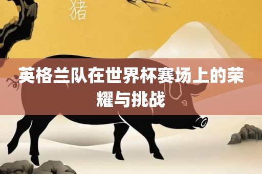 英格兰队在世界杯赛场上的荣耀与挑战洛阳市法福文化传播有限公司