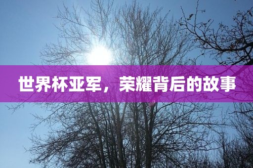 世界杯亚军，荣耀背后的故事