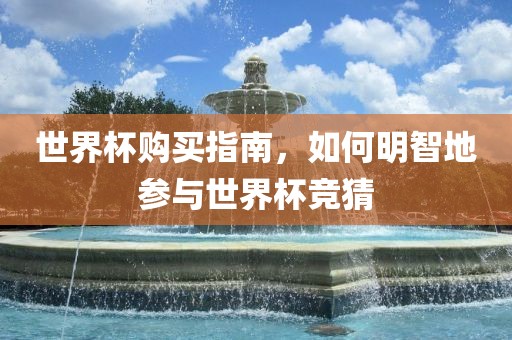 世界杯购买指南，如何明智地参与世界杯竞猜