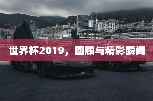 洛阳市法福文化传播有限公司世界杯2019，回顾与精彩瞬间