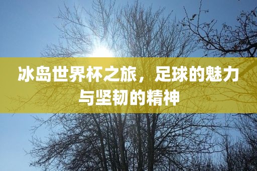 冰岛世界杯之旅，足球的魅力与坚韧的精神