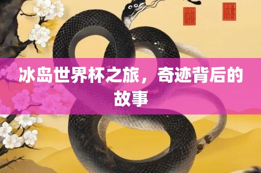 冰岛世界杯之旅，奇迹背后的故事