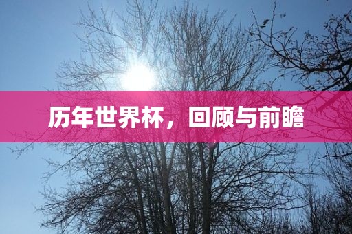 历年世界杯，回顾与前瞻