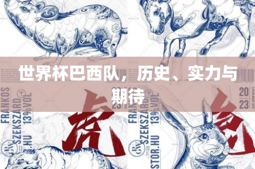 世界杯巴西队，历史、实力与期待