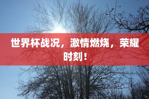 世界杯战况，激情燃烧，荣耀时刻！洛阳市法福文化传播有限公司