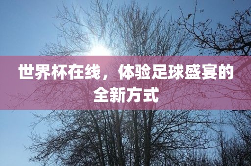 世界杯在线，体验足球盛宴的全新方式