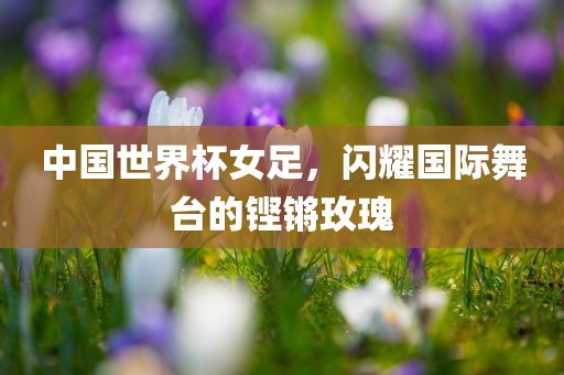 中国世界杯女足，闪耀国际舞台的铿锵玫瑰