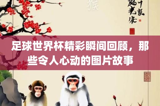 足球世界杯精彩瞬间回顾，那些令人心动的图片故事洛阳市法福文化传播有限公司