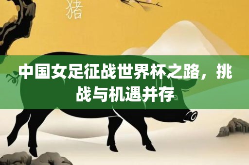 中国女足征战世界杯之路，挑战与机遇并存