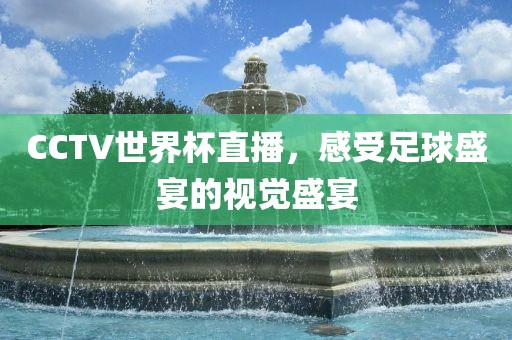 CCTV世界杯直播，感受足球盛宴的视觉盛宴