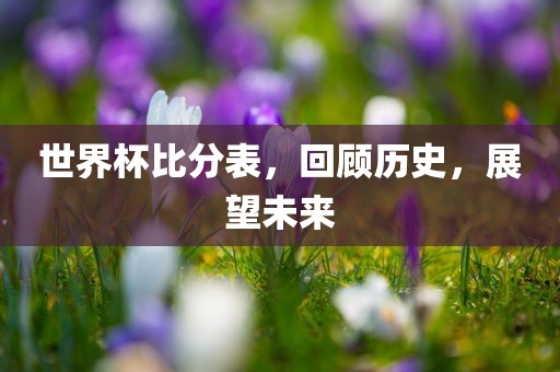 世界杯比分表，回顾历史，展望未来