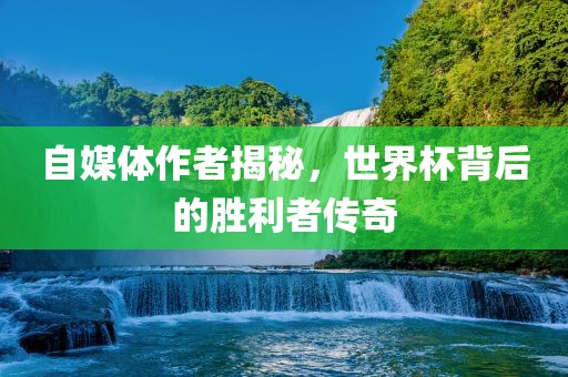 自媒体作者揭秘，世界杯背后的胜利者传奇