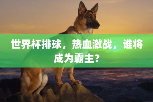 世界杯排球，热血激战，谁将成为霸主？