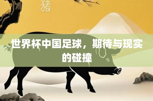 世界杯中国足球，期待与现实的碰撞