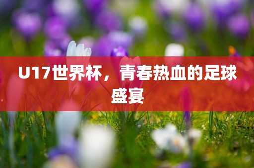 U17世界杯，青春热血的足球盛宴
