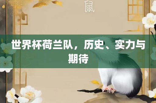 世界杯荷兰队，历史、实力与期待