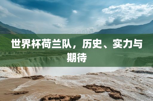 世界杯荷兰队，历史、实力与期待