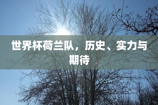 世界杯荷兰队，历史、实力与期待