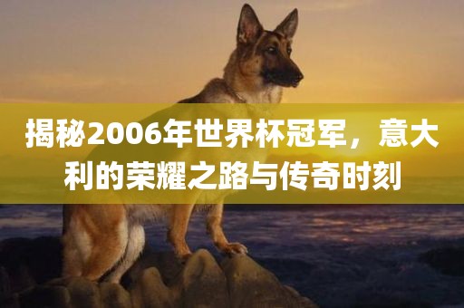 揭秘2006年世界杯冠军，意大利的荣耀之路与传奇时刻
