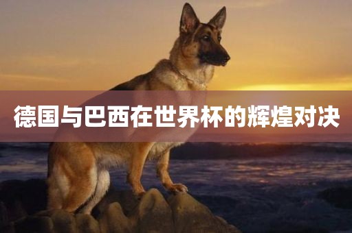德国与巴西在世界杯的辉煌对决洛阳市法福文化传播有限公司