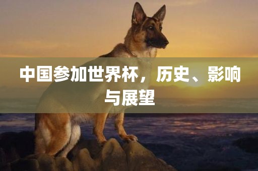 中国参加世界杯，历史、影响与展望