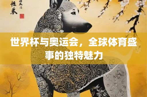 世界杯与奥运会，全球体育盛事的独特魅力