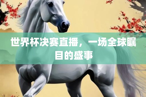 世界杯决赛直播，一场全球瞩目的盛事