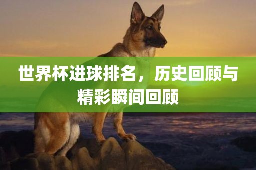 世界杯进球排名，历史回顾与精彩瞬间回顾