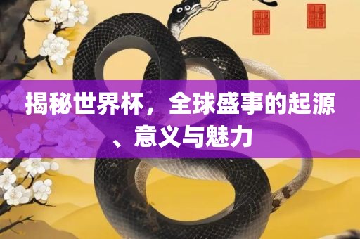揭秘世界杯，全球盛事的起源、意义与魅力洛阳市法福文化传播有限公司
