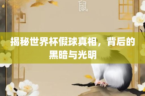 揭秘世界杯假球真相，背后的黑暗与光明
