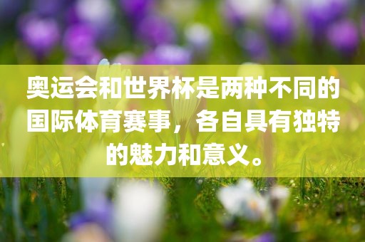 奥运会和世界杯是两种不同的国际体育赛事，各自具有独特的魅力和意义。