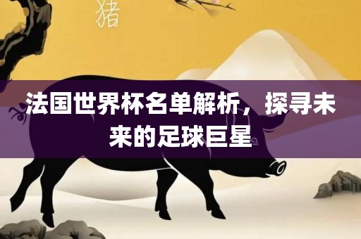 法国世界杯名单解析，探寻未来的足球巨星