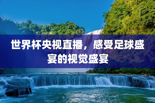 世界杯央视直播，感受足球盛宴的视觉盛宴