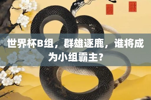 世界杯B组，群雄逐鹿，谁将成为小组霸主？