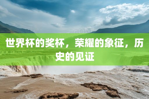 世界杯的奖杯，荣耀的象征，历史的见证