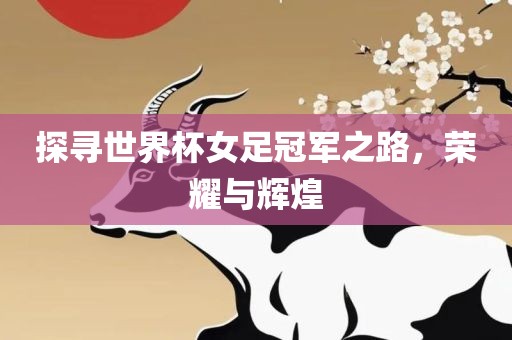 探寻世界杯女足冠军之路，荣耀与辉煌