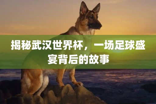 揭秘武汉世界杯，一场足球盛宴背后的故事洛阳市法福文化传播有限公司