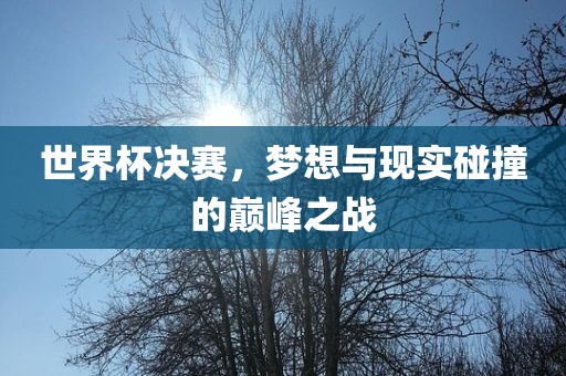 世界杯决赛，梦想与现实碰撞的巅峰之战