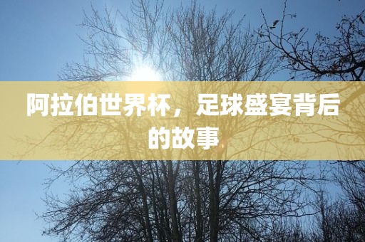 阿拉伯世界杯，足球盛宴背后的故事