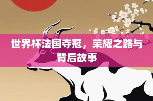 世界杯法国夺冠，荣耀之路与背后故事