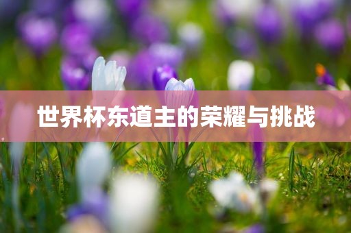世界杯东道主的荣耀与挑战