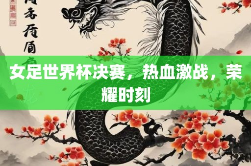 女足世界杯决赛，热血激战，荣耀时刻