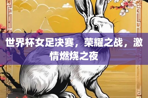 世界杯女足决赛，荣耀之战，激情燃烧之夜