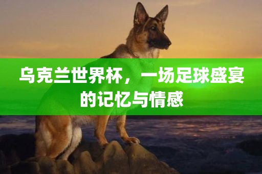 乌克兰世界杯，一场足球盛宴的记忆与情感