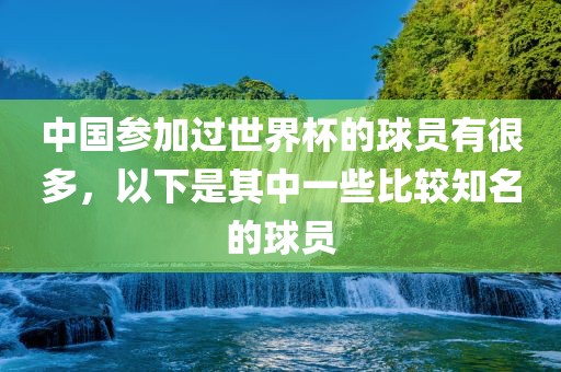 中国参加过世界杯的球员有很多，以下是其中一些比较知名的球员