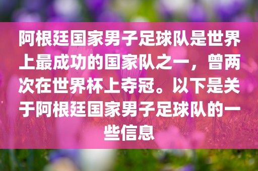 阿根廷国家男子足球队是世界上最成功的国家队之一，曾两次在世界杯上夺冠。以下是关于阿根廷国家男子足球队的一些信息