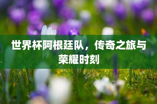 世界杯阿根廷队，传奇之旅与荣耀时刻