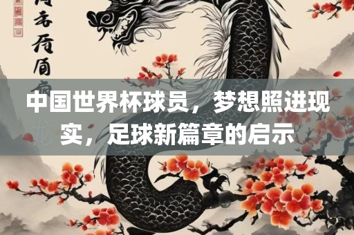 中国世界杯球员，梦想照进现实，足球新篇章的启示
